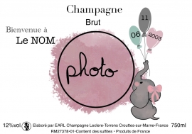 Champagne LECLERE-TORRENS - B.Éléphant